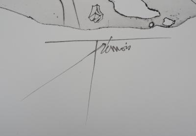 Pierre-Yves TRÉMOIS : Effrayant - Original signed engraving 2