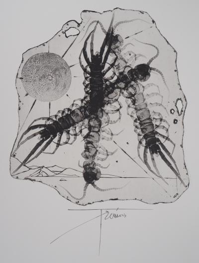 Pierre-Yves TRÉMOIS : Le plancton - Gravure Originale Signée 2
