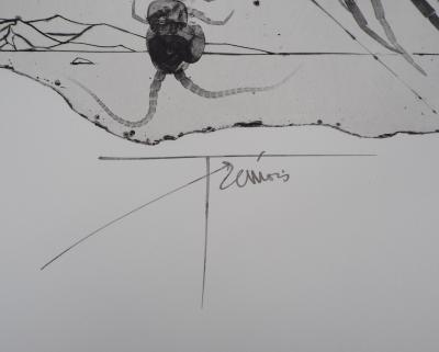 Pierre-Yves TRÉMOIS : Le plancton - Gravure Originale Signée 2