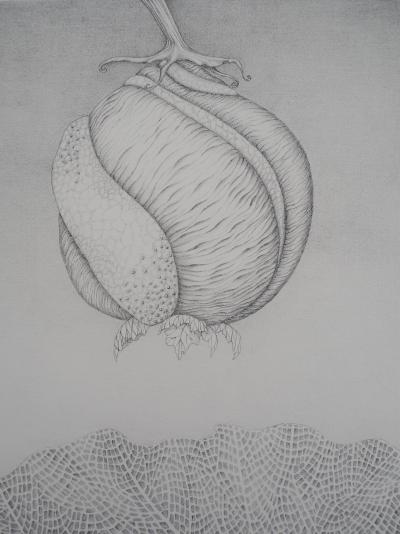 Gochka Charewicz - Avant la naissance   - Lithographie originale signée 2