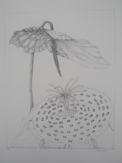 Gochka Charewicz - The Arum - Original signed lithograph 2