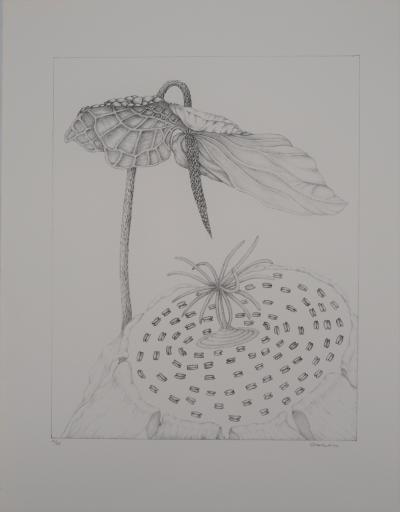 Gochka Charewicz - The Arum - Original signed lithograph 2