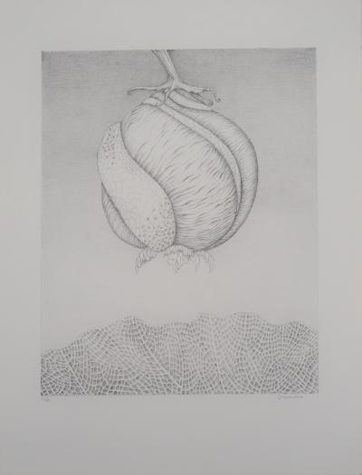Gochka Charewicz - Avant la naissance   - Lithographie originale signée 2