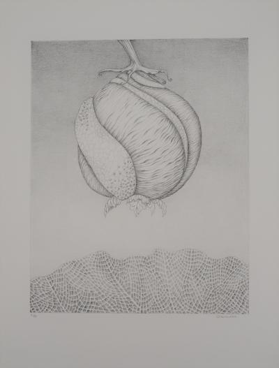 Gochka Charewicz - Avant la naissance   - Lithographie originale signée 2