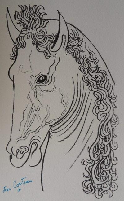 Jean COCTEAU : Cheval fougueux - Lithographie Signée, 1961 2