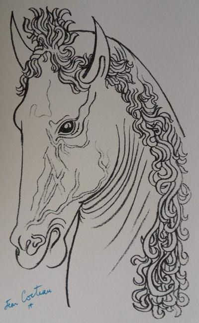 Jean COCTEAU - Cheval fougueux, 1961- Lithographie signée 2