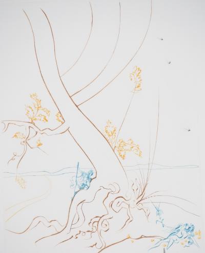 Salvador DALI : L’arbre de connaissance - Gravure Originale SIgnée 2