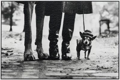 Elliott ERWITT - USA. New York, 1974, Tirage gélatino-argentique numérotée 2