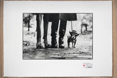 Elliott ERWITT - USA. New York, 1974, Tirage gélatino-argentique numérotée 2