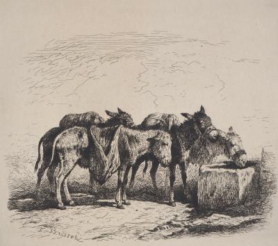Felix BRISSOT DE WARWILLE : Baudets espagnols - Eau forte Originale signée 2