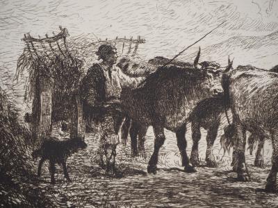 Felix BRISSOT DE WARWILLE : Attelage de bœufs en Normandie - Eau forte Originale 2