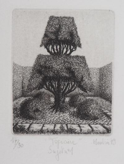 François HOUTIN : Topicure (Sujet n°1) - Gravure Originale Signée 2