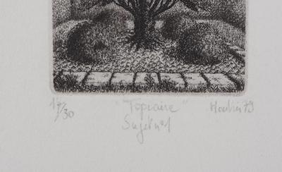 François HOUTIN : Topicure (Sujet n°1) - Gravure Originale Signée 2
