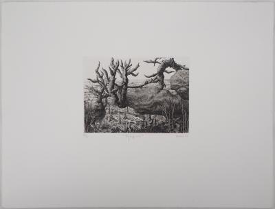 François HOUTIN : Paysage n°1 - Gravure Originale Signée 2