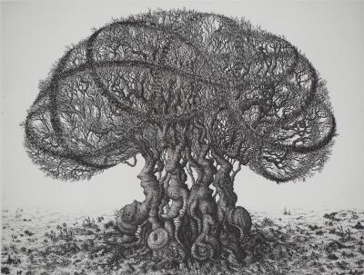 François HOUTIN : Chêne - Gravure originale signée 2
