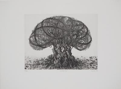 François HOUTIN : Chêne - Gravure originale signée 2