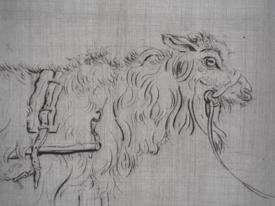Mordecaï MOREH : Le jeune noble tiré par un animal - Gravure originale signée 2