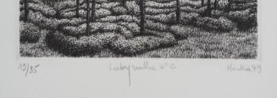François HOUTIN : Labyrinthe n°2 - Gravure Originale Signée 2