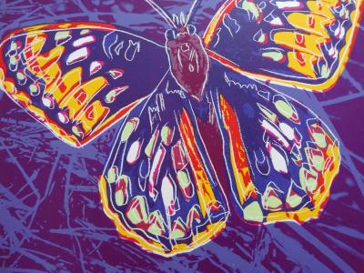 Andy Warhol (d’après) - Papillon, sérigraphie couleur, 1983 2