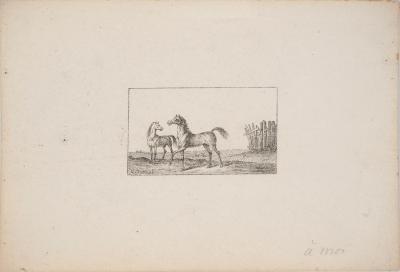 Charles-Antoine VERNET : Croquis de chevaux - Quatre lithographies originales signées 2