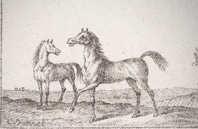 Charles-Antoine VERNET : Croquis de chevaux - Quatre lithographies originales signées 2