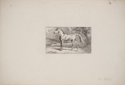 Charles-Antoine VERNET : Croquis de chevaux - Lot de 5 Lithographies originales signées 2