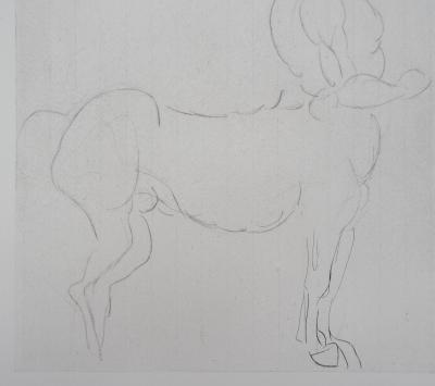 Auguste RODIN (d’après) : Centaure - Gravure, 1897 2