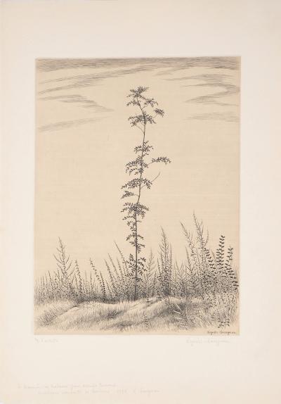 Kiyoshi HASEGAWA : Un jeune arbre - Gravure originale signée, 1953 2