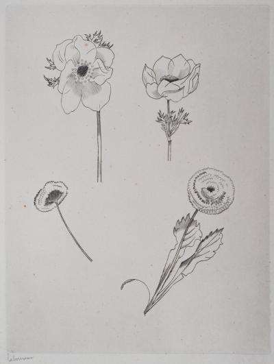 Jean Émile LABOUREUR : Etude de fleurs - Gravure Originale Signée 2