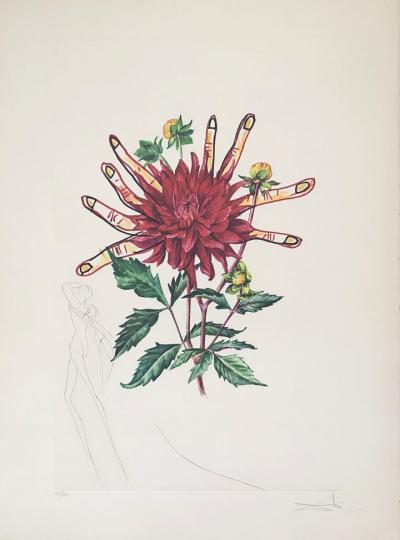 Salvador DALI - Dahlia Rapax,  Fleurs surréalistes, 1972 - Gravure originale signée au crayon 2