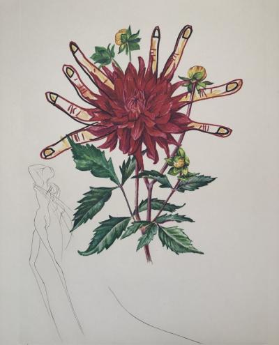 Salvador DALI - Dahlia Rapax,  Fleurs surréalistes, 1972 - Gravure originale signée au crayon 2