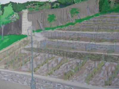 Maurice BRIANCHON : Vignes de France - Quatre lithographies 2