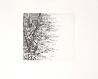 BÉLISAIRE : Des feuilles et des branches - Gravure originale signée 2