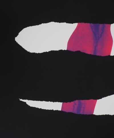 Jean de GASPARY : Les blessures de l’homme - Sérigraphie Originale Signée 2