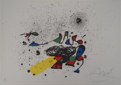 Joan Miro Kunstler Des Zwanzigsten Jahrhunderts Faerna Jose
