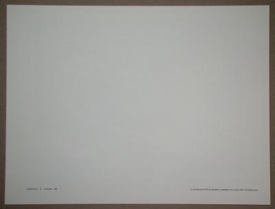 Josef ALBERS - Kinetic, 1972 - Sérigraphie originale en couleurs 2