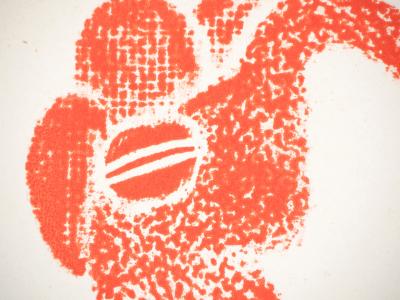 Lithographie à motif Précolombien : 
