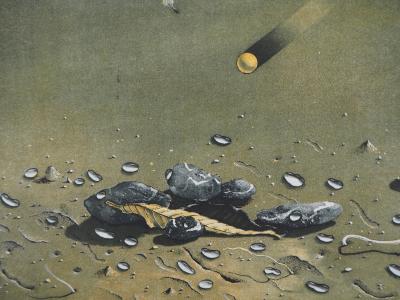 Hiroshi ASADA : Gravité - Gravure Originale Signée 2