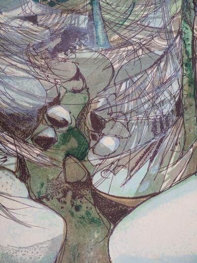 Camille HILAIRE : Torrent en hiver - Lithographie originale Signée 2