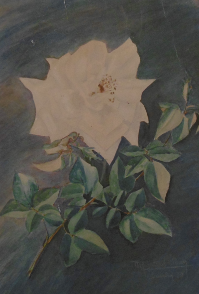 Marcelle RIGOTARD SAVIN - Etude de rose, 1923 - Aquarelle signée 2