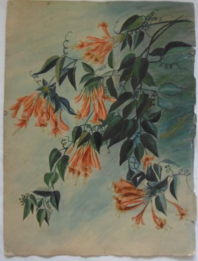 Marcelle RIGOTARD SAVIN - Étude de Fleur Exotique, 1923, Aquarelle signée 2