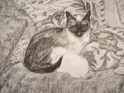 Théophile Alexandre STEINLEN : Le chat siamois - Lithographie signée 2
