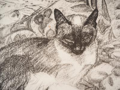 Théophile Alexandre STEINLEN : Le chat siamois - Lithographie signée 2