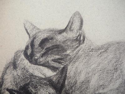 Théophile Alexandre STEINLEN : Les chats qui somnolent - Lithographie signée 2