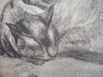 Théophile Alexandre STEINLEN : Les chats qui somnolent - Lithographie signée 2