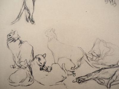 Théophile Alexandre STEINLEN : Les chats font le mur, 1933  - Lithographie 2