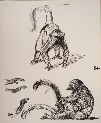 Théophile Alexandre STEINLEN : Les singes, Lithographie signée 2