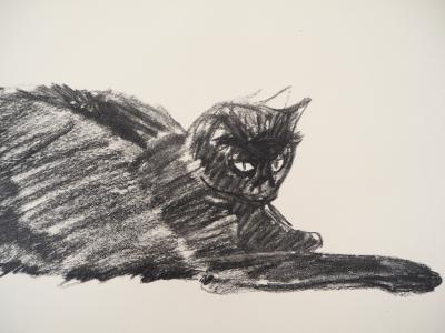 Théophile Alexandre STEINLEN - Chat noir allongé, Lithographie signée 2