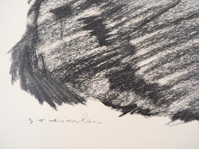 Théophile Alexandre STEINLEN - Chat noir allongé, Lithographie signée 2