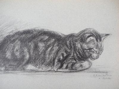 Théophile Alexandre STEINLEN :  Le chat tigré, Lithographie signée 2